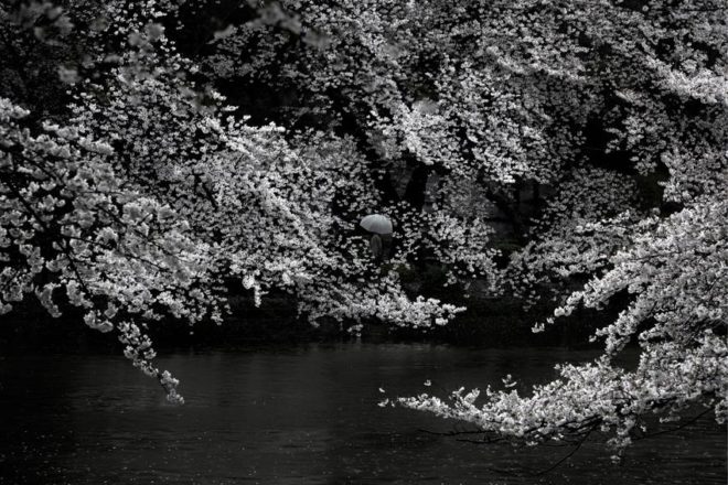 Mikio Watanabe. Sans titre. 2014. Photographie.