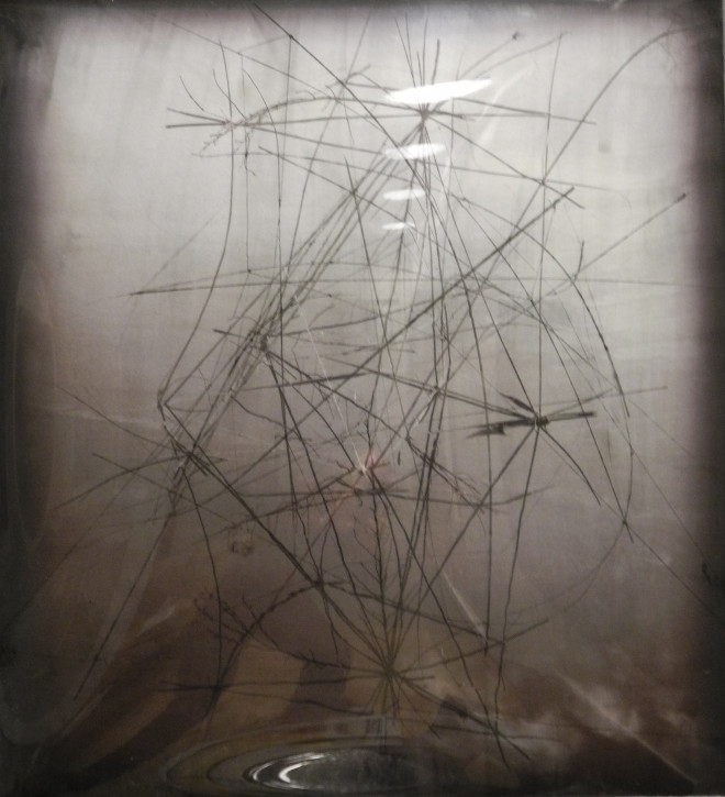 Gabriela Morawetz - Structures idéales II