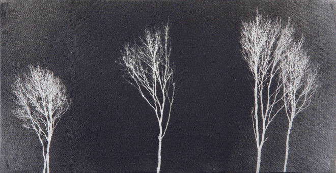Gabriela Morawetz - Sans titre